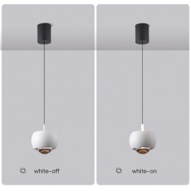 Up and down two way lighting Modern art Hanging lamp