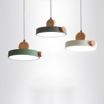 Ceiling mounted Pendant lamp Nordic style Hanging light 