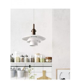 Unique shaped pendant light Restaurant Hanging light