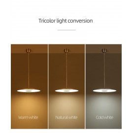 Luxury Chandelier Postmodern Three-color LED Modern Hanging Lamp