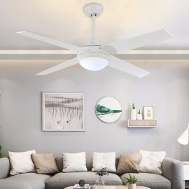 Luxury Modern Decorative Minimalism Fan Light