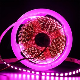 120LEDs per meter High bright 5054 LED Strip Light