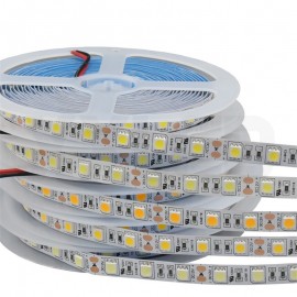 60LEDs per meter IP20 IP65 IP67 IP68  5050 LED Strip Light