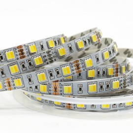 60LEDs per meter Cool warm double white 5050 LED Strip Light