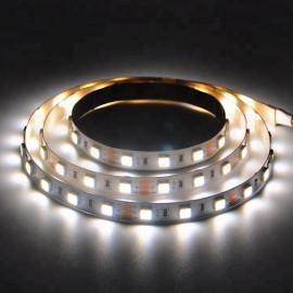 60LEDs per meter Cool warm double white 5050 LED Strip Light