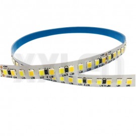 2835 CW And WW Double color LED Strip Light