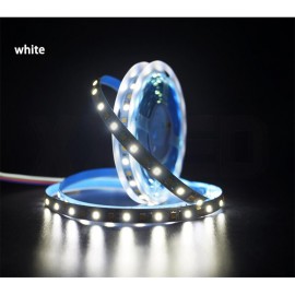 2835 CW And WW Double color LED Strip Light