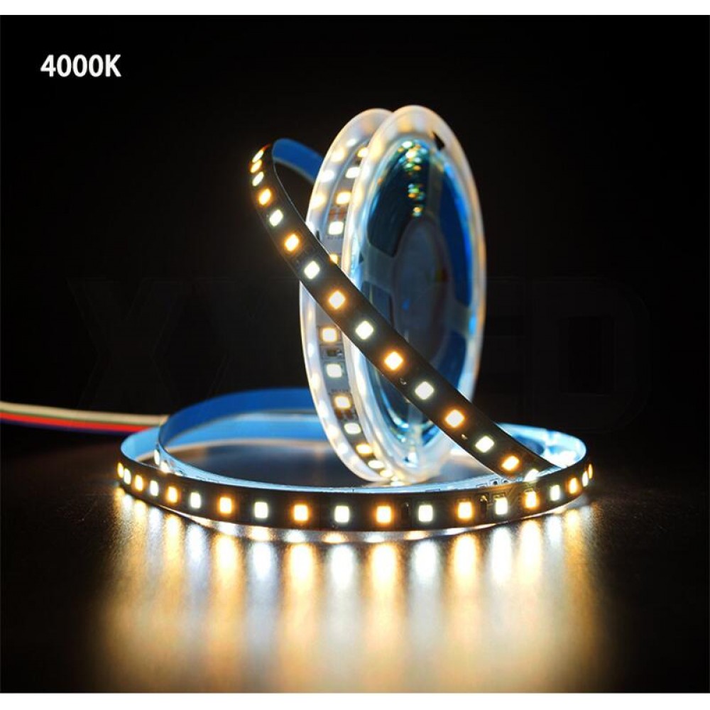 2835 CW And WW Double color LED Strip Light