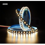 2835 CW And WW Double color LED Strip Light