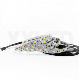 RGB and Cool white warm White 5050 LED Strip Light