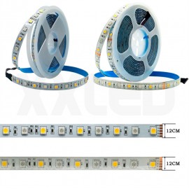 RGB and Cool white warm White 5050 LED Strip Light