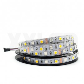 RGB and Cool white warm White 5050 LED Strip Light