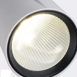 Adjustable Head Black White COB Led Track Spotlight for Shop 20W 40W 30W LED Tracking Light